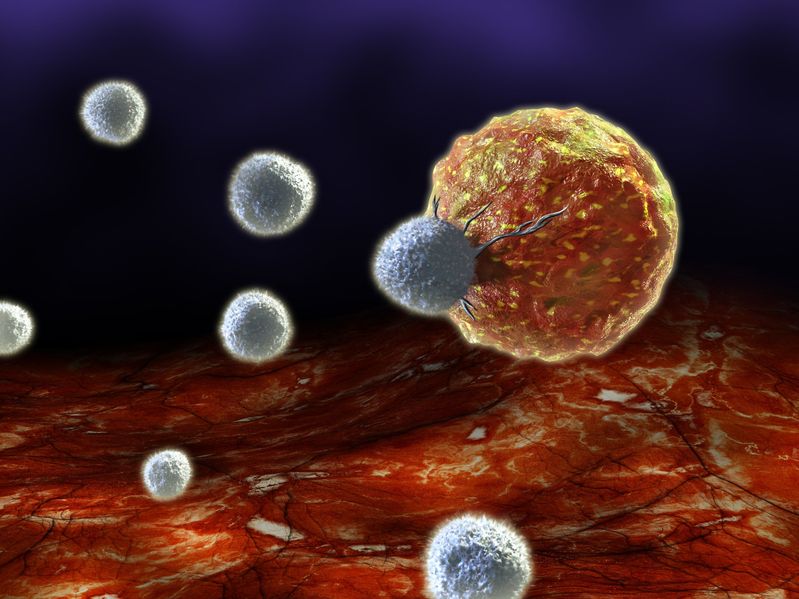 Antimicrobial Effects
